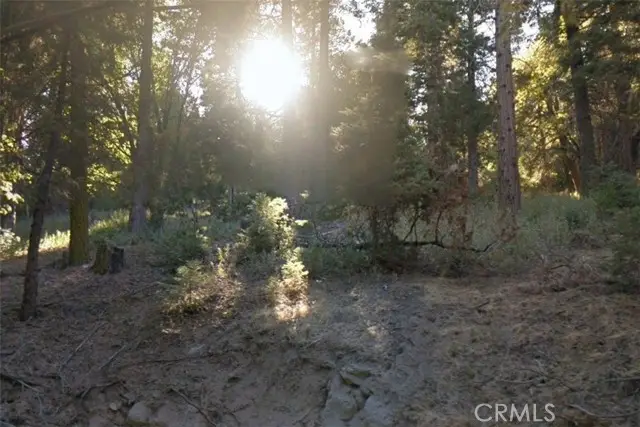 20 Burnt Mill Canyon Road, Cedarpines Park, CA 92322 - #1