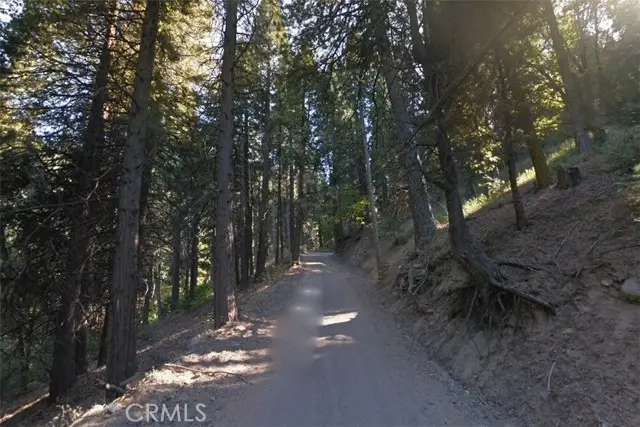 20 Burnt Mill Canyon Road, Cedarpines Park, CA 92322 - #2
