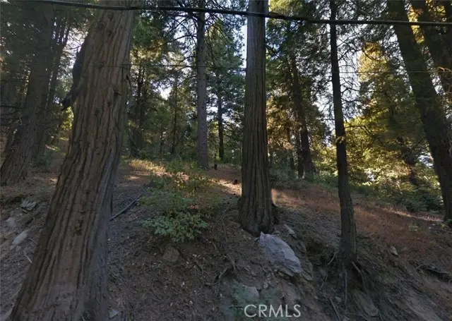 20 Burnt Mill Canyon Road, Cedarpines Park, CA 92322 - #3