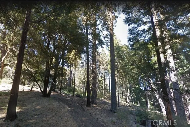 59 Mojave River Road, Cedarpines Park, CA 92322 - #1