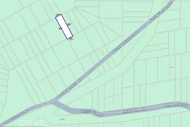 59 Mojave River Road, Cedarpines Park, CA 92322 - #3