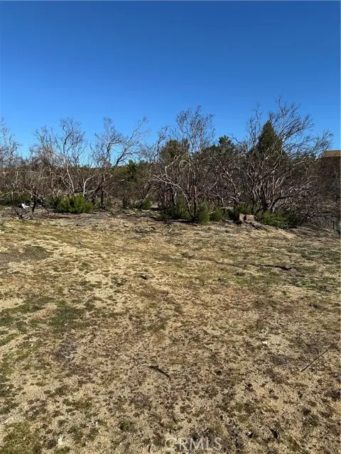 38230 Howard, Anza, CA 92539 - Image #1