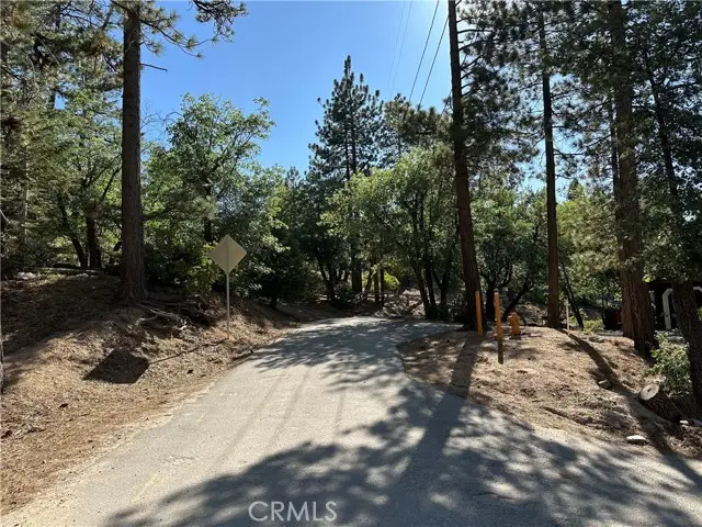 41089 Maryland Road, Big Bear Lake, CA 92315 - #3