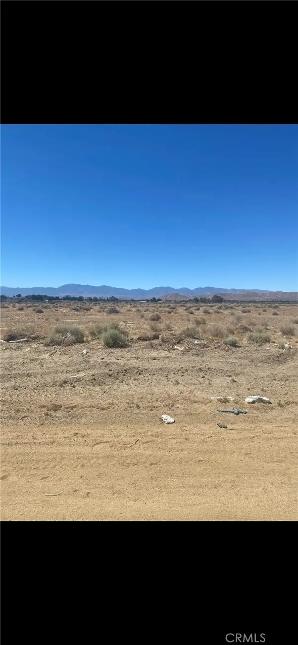 168 Ste (Drt) Vic Avenue, Lancaster, CA 93535 - #1