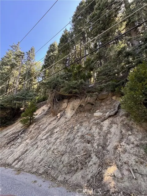 24355 Albrun Drive, Crestline, CA 92325 - #3