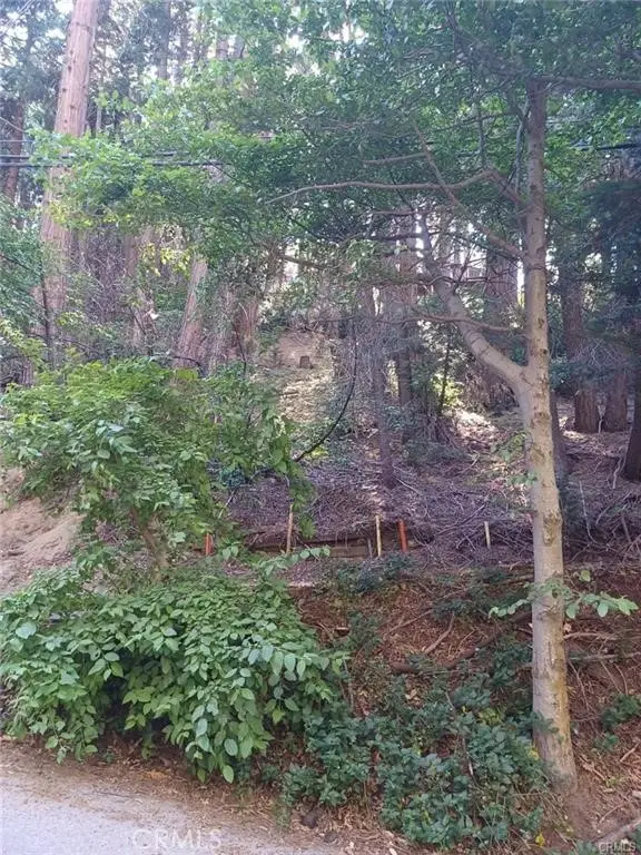 0 Lake Drive, Lake Arrowhead, CA 92352 - #2