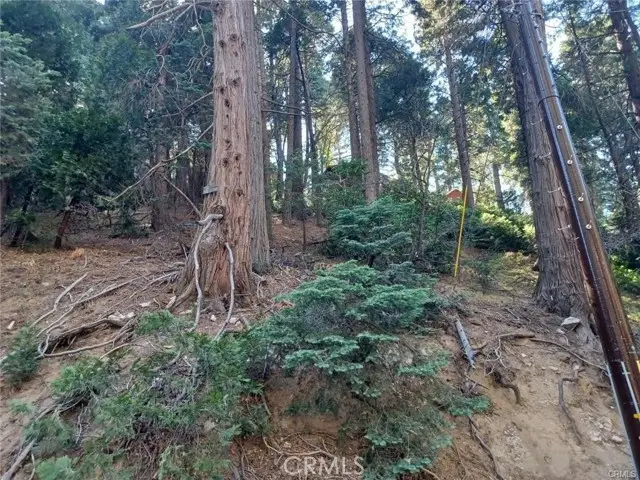 0 Lake Drive, Lake Arrowhead, CA 92352 - #3