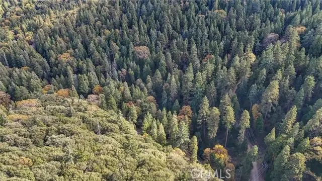 0 Deer Run Road, Cedarpines Park, CA 92322 - #2