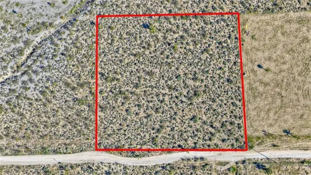 11982 Redwood Road, Pinon Hills, CA 92372 - #2