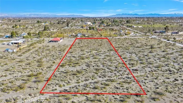11786 Buckwheat Road, Pinon Hills, CA 92372 - #2