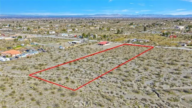 11786 Buckwheat Road, Pinon Hills, CA 92372 - #3