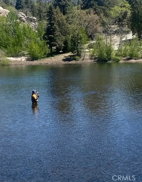 33303 Lake View Drive, Running Springs, CA 92382 - #2