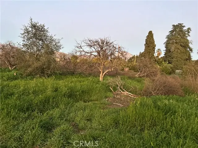 400 Walnut Avenue, Redlands, CA 92373 - Image #3