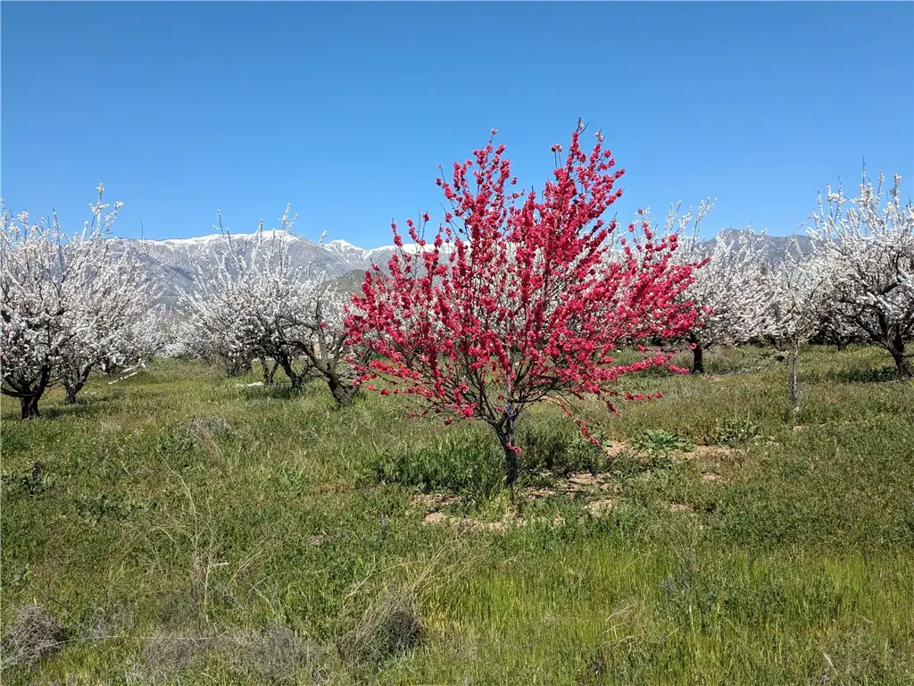 0 Pump House Road, Banning, CA 92220 - #1