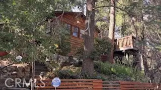 402 Burnt Mill Canyon Road, Cedarpines Park, CA 92322