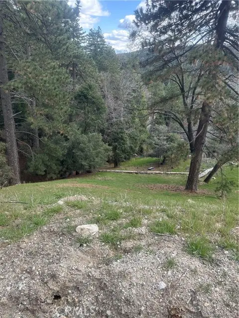 0 Fern Canyon, Cedarpines Park, CA 92322