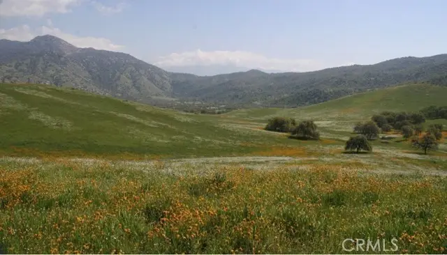 5570 caliente bodfish Road, Caliente, CA 93518 - #1