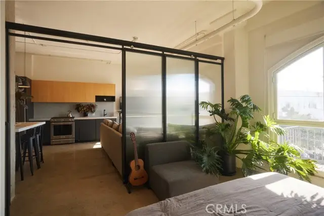 315 8th Street  #205, Los Angeles, CA 90014 - #1