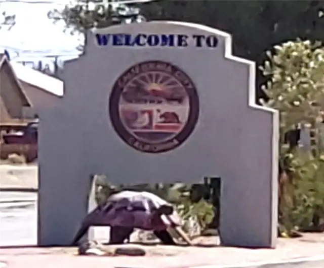 0 Nipa Avenue, California City, CA 93505 - #2