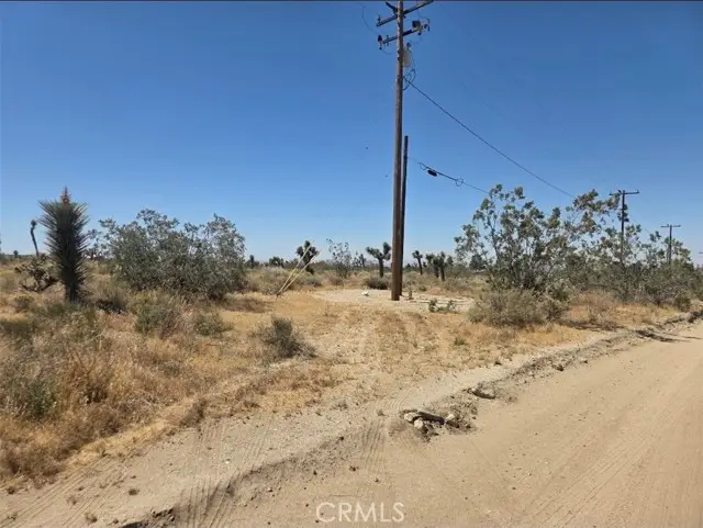 11524 Wintergreen Rd, Pinon Hills, CA 92372 - #1