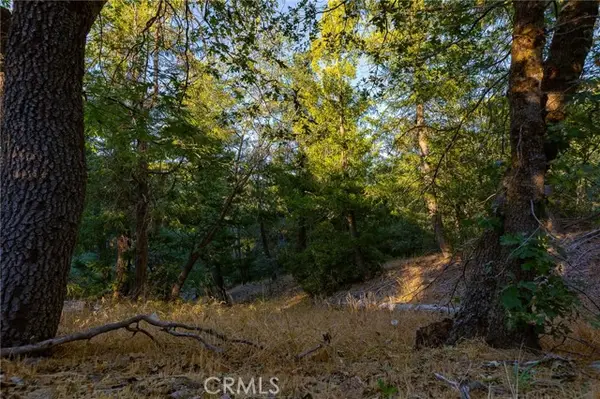 0 Ridge Drive, Cedarpines Park, CA 92322