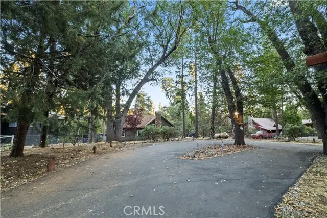 53985 Pine Crest, Idyllwild, CA 92549 - #3