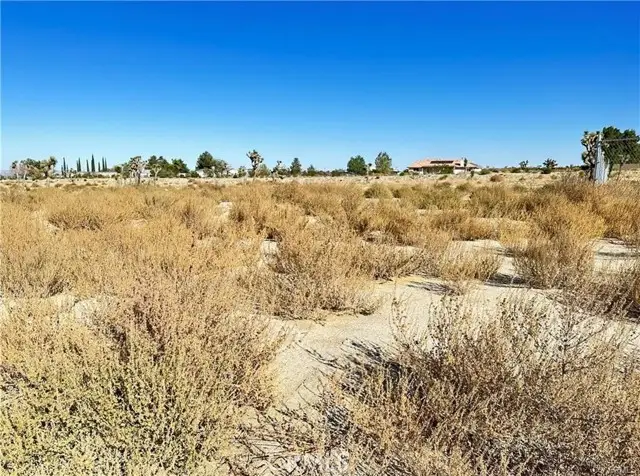 12025 Primavera Road, Pinon Hills, CA 92372 - #3