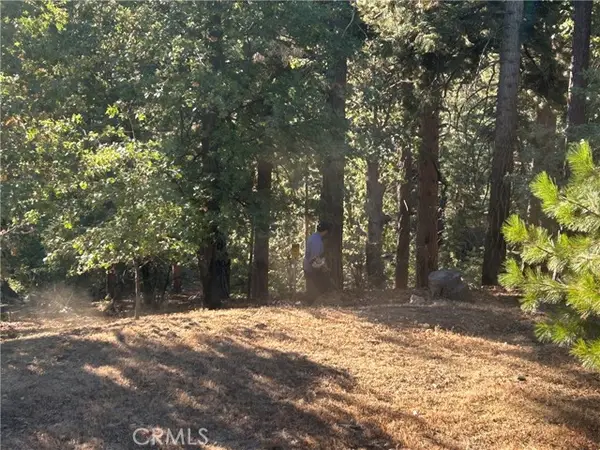 2335 Deep Creek, Running Springs, CA 92382