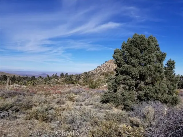 0 Vac/Vic Avenue Z14/235 Ste, Llano, CA 93544 - #1