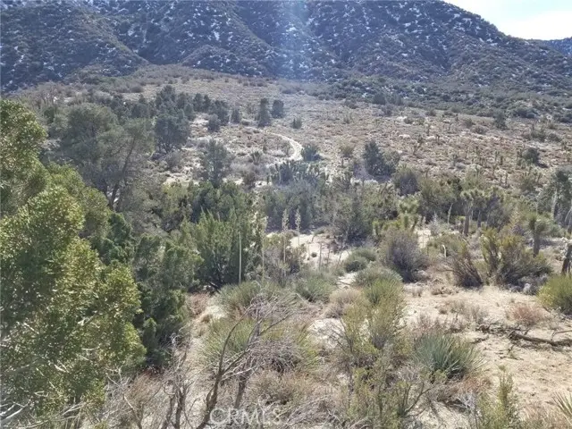 0 Vac/Vic Avenue Z14/235 Ste, Llano, CA 93544 - #2