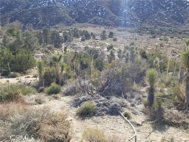 0 Vac/Vic Avenue Z14/235 Ste, Llano, CA 93544 - #3