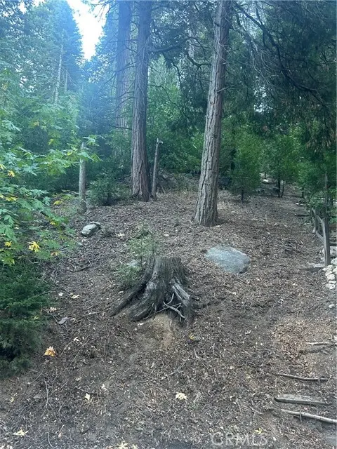 0 Nesthorn Drive, Crestline, CA 92325 - Image #1