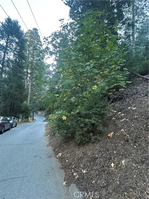 0 Nesthorn Drive, Crestline, CA 92325 - Image #2