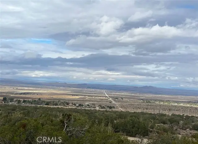 0 Y8/VIC VAC Avenue, Llano, CA 93544 - Image #3