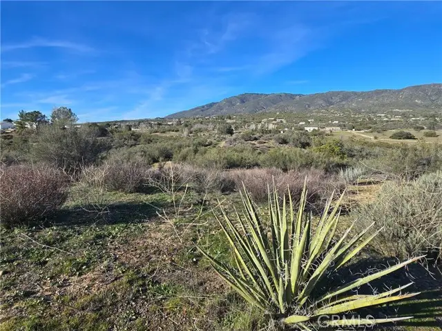 46 Anza Crest Road, Anza, CA 92539 - #2