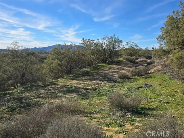 47 Anza Crest Road, Anza, CA 92539 - #2