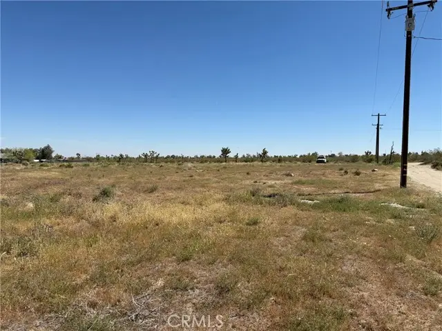 1080 Danbury, Pinon Hills, CA 92372 - #1