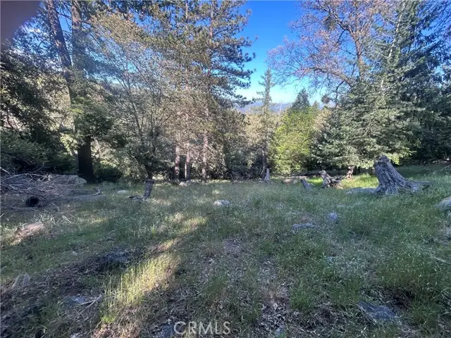 342 CANYON DR, Cedarpines Park, CA 92322 - #1