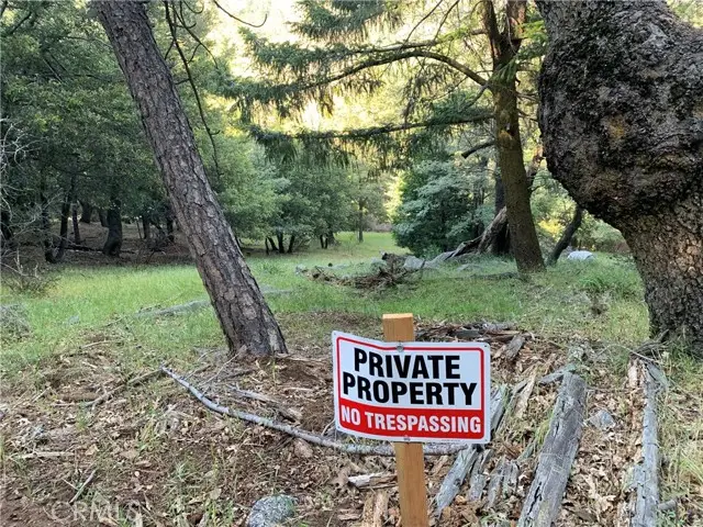 342 CANYON DR, Cedarpines Park, CA 92322 - #3