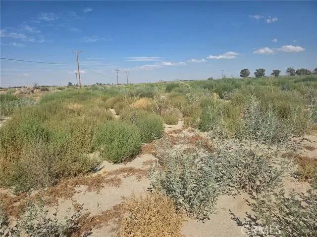 150 Ste/Vic, Palmdale, CA 93591 - #1