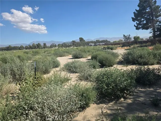 150 Ste/Vic, Palmdale, CA 93591 - #2