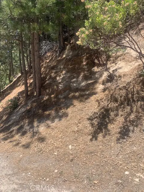 27346 N Bay Rd, Lake Arrowhead, CA 92352 - #2