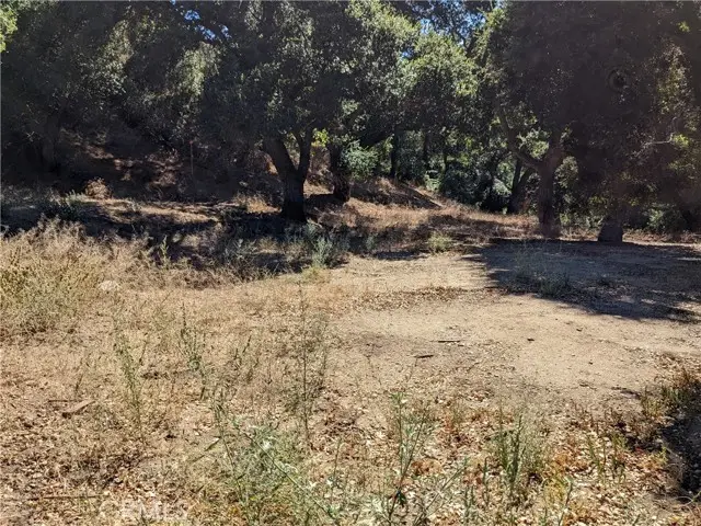 0 San Francisquito Cyn Road, Santa Clarita, CA 91350 - #3