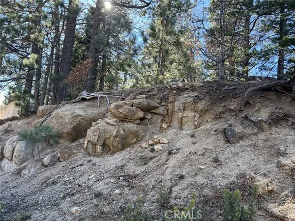 2686 Viking, Running Springs, CA 92382