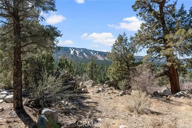 42565 Pegasus Way, Big Bear Lake, CA 92315 - #1