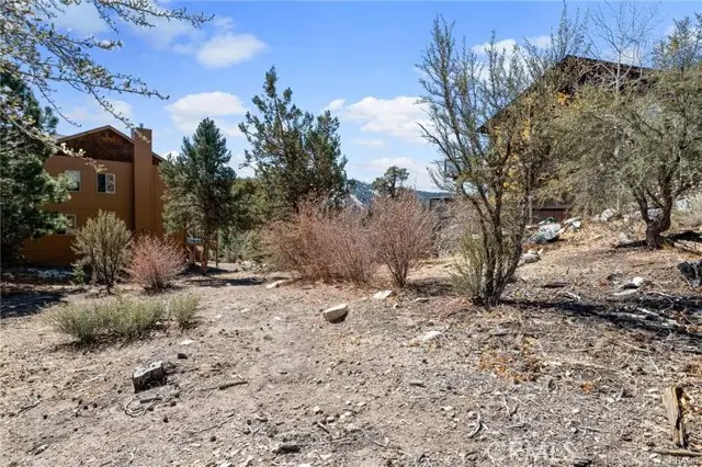 42565 Pegasus Way, Big Bear Lake, CA 92315 - #2