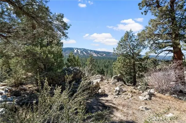 42565 Pegasus Way, Big Bear Lake, CA 92315 - #3
