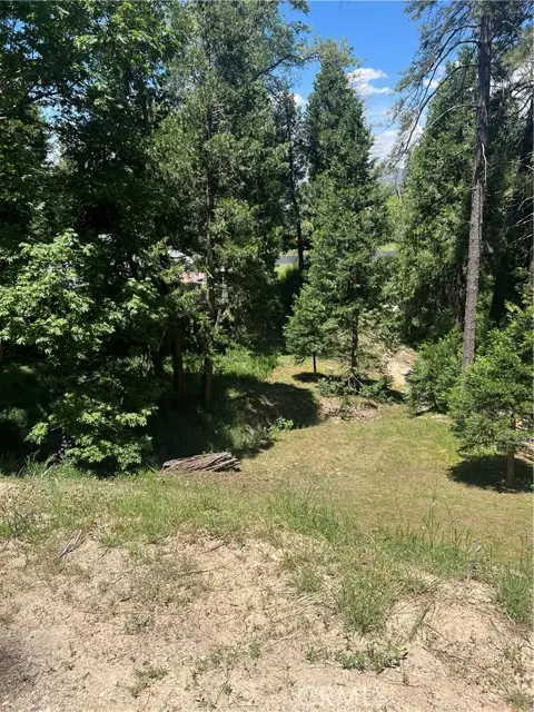 24580 Bernard Drive, Crestline, CA 92325 - #1