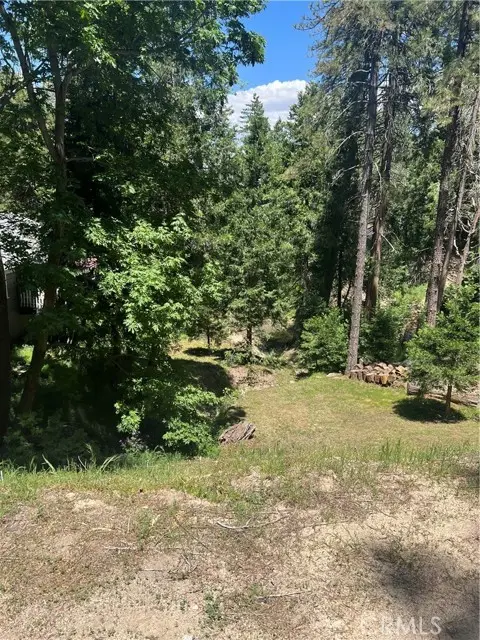 24580 Bernard Drive, Crestline, CA 92325 - #2