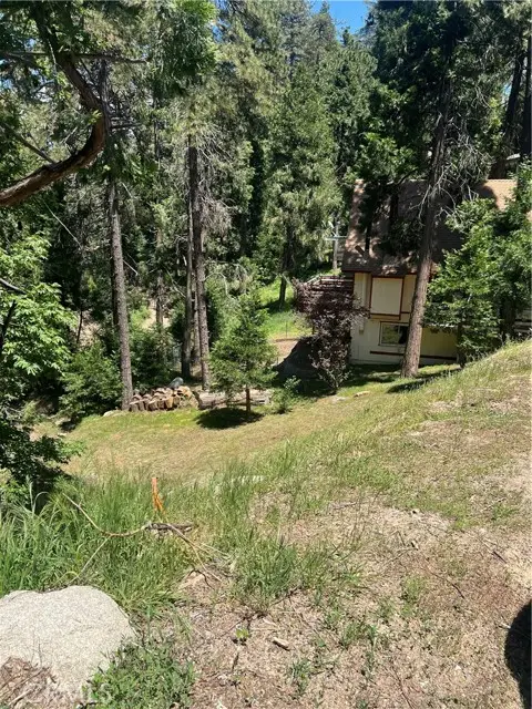 24580 Bernard Drive, Crestline, CA 92325 - #3